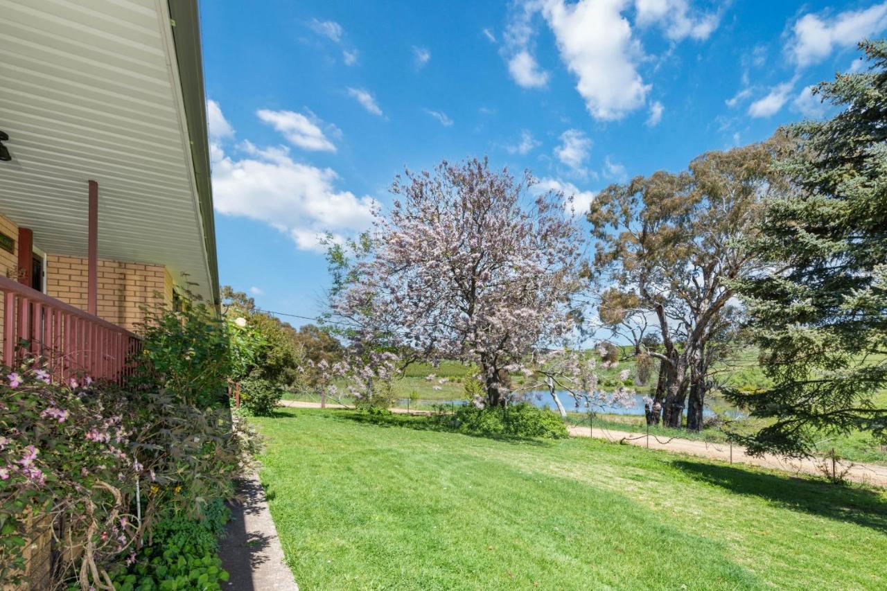 Bendalong - Rural Retreat, Short Drive To Cbd Villa Orange Buitenkant foto