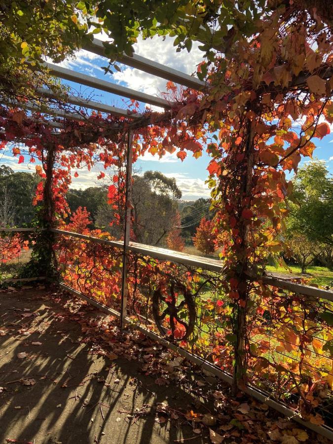Bendalong - Rural Retreat, Short Drive To Cbd Villa Orange Buitenkant foto